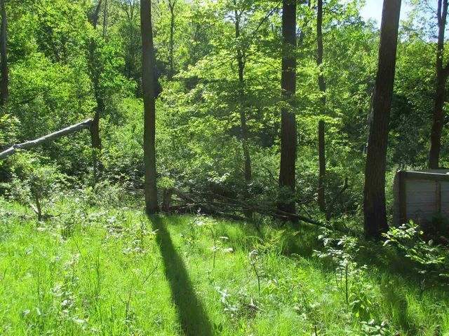 $450,450 | 55 A County Highway, Elroy, WI 53929