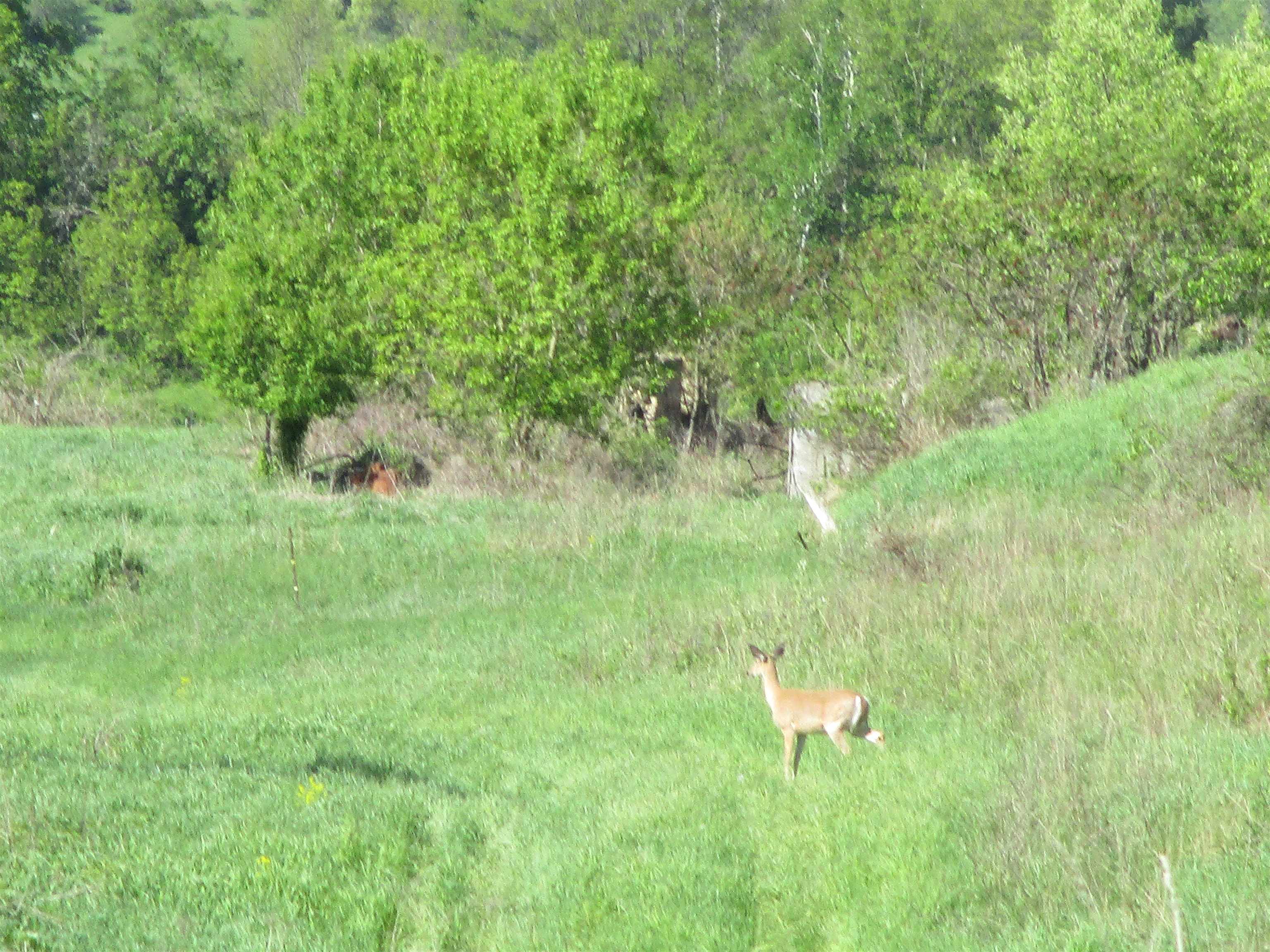 55 A County Highway Elroy, WI 53929 - Photo 37 of 45