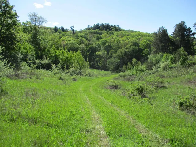 $450,450 | 55 A County Highway, Elroy, WI 53929