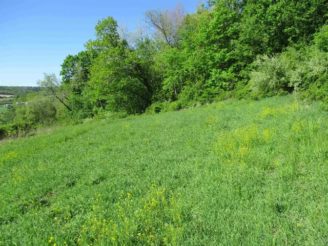 $450,450 | 55 A County Highway, Elroy, WI 53929