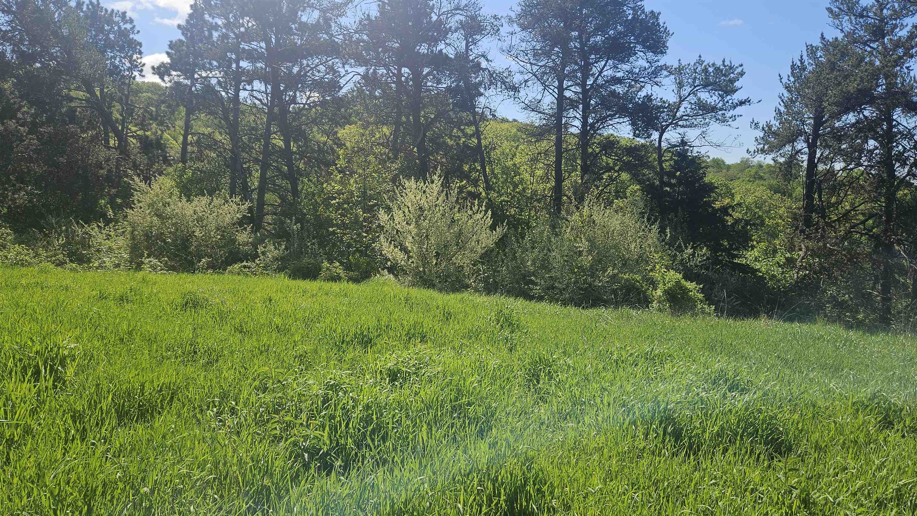 55 A County Highway Elroy, WI 53929 - Photo 5 of 45