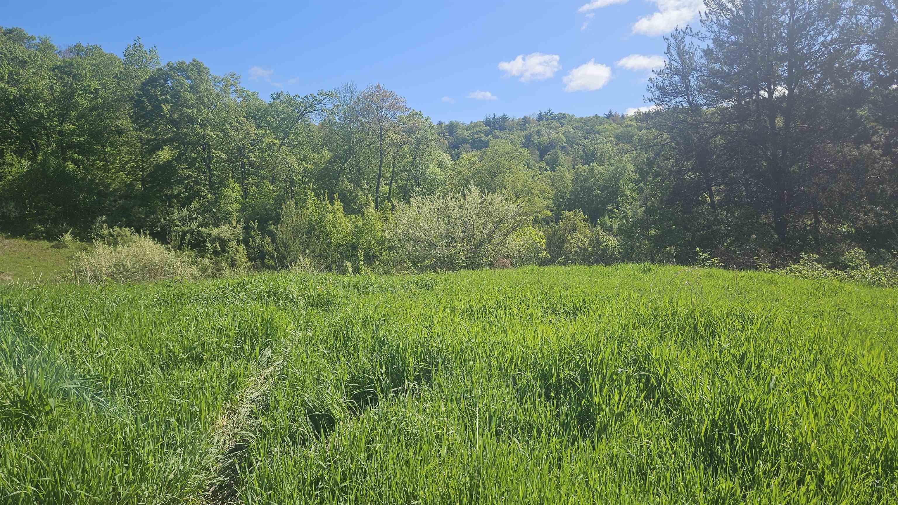 55 A County Highway Elroy, WI 53929 - Photo 8 of 45