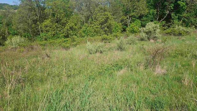 $450,450 | 55 A County Highway, Elroy, WI 53929