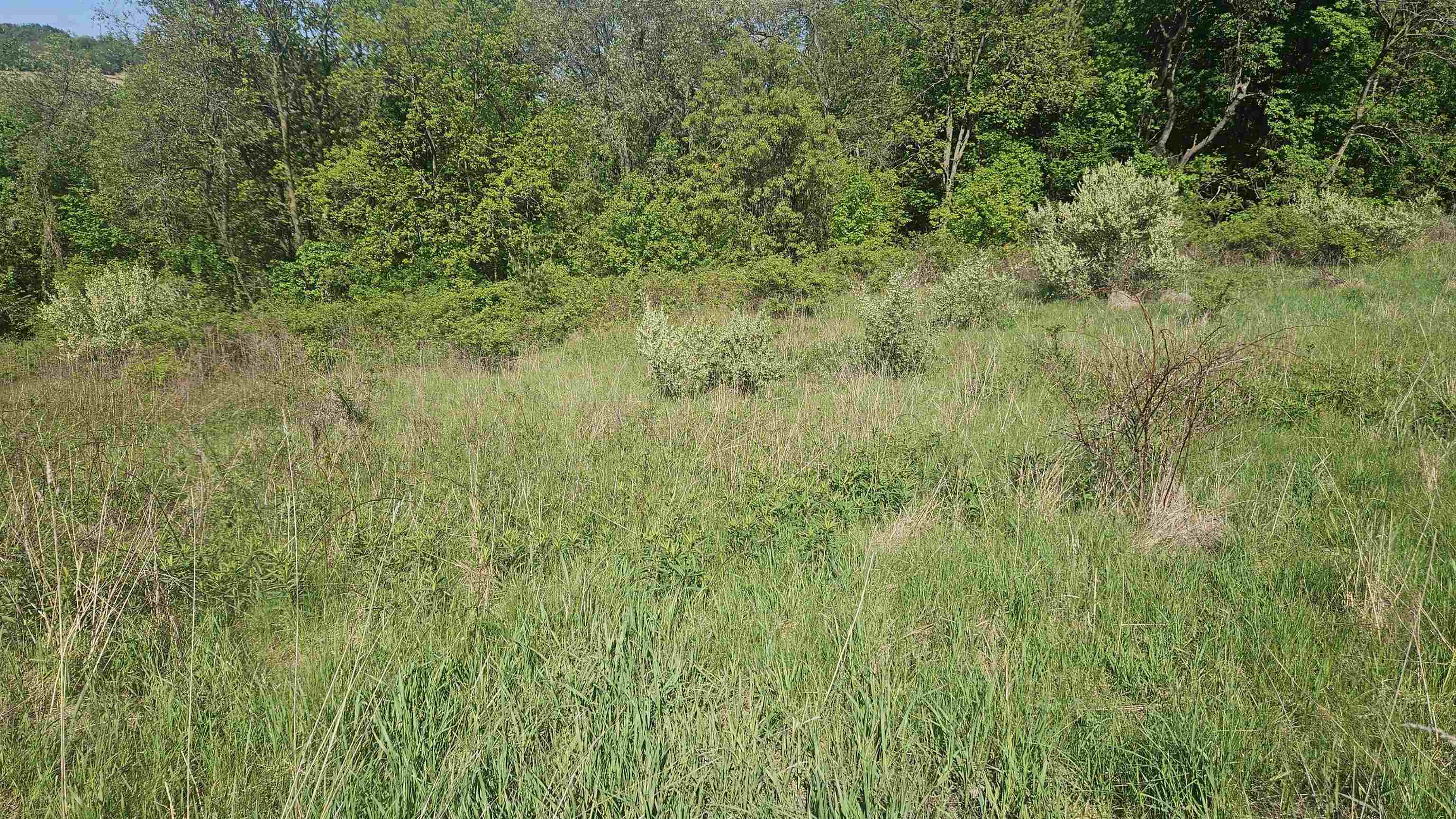 55 A County Highway Elroy, WI 53929 - Photo 9 of 45