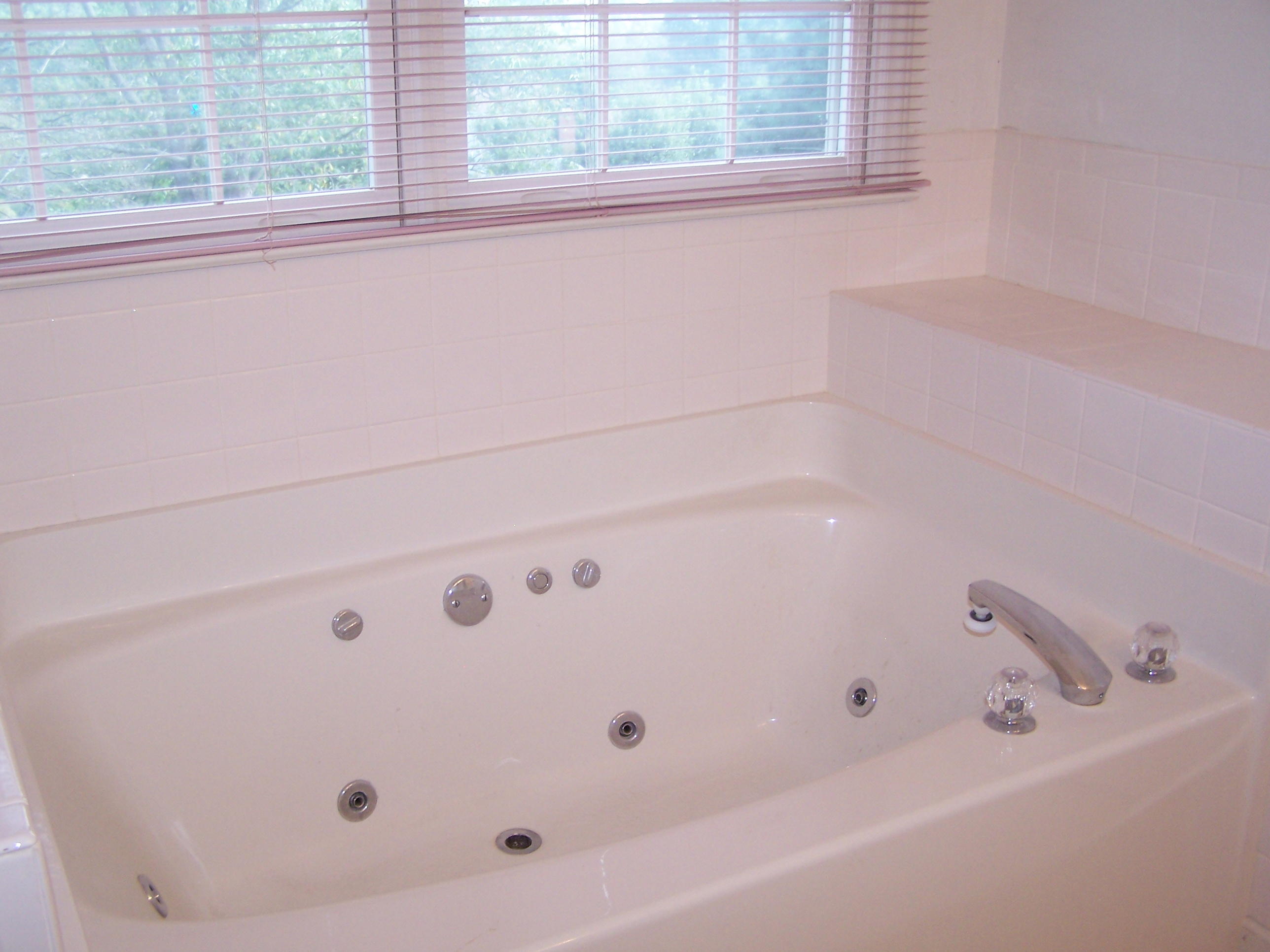219 Winesap Road Roanoke, VA 24019 - Photo 14 of 31 Jacuzzi Tub Master Bath