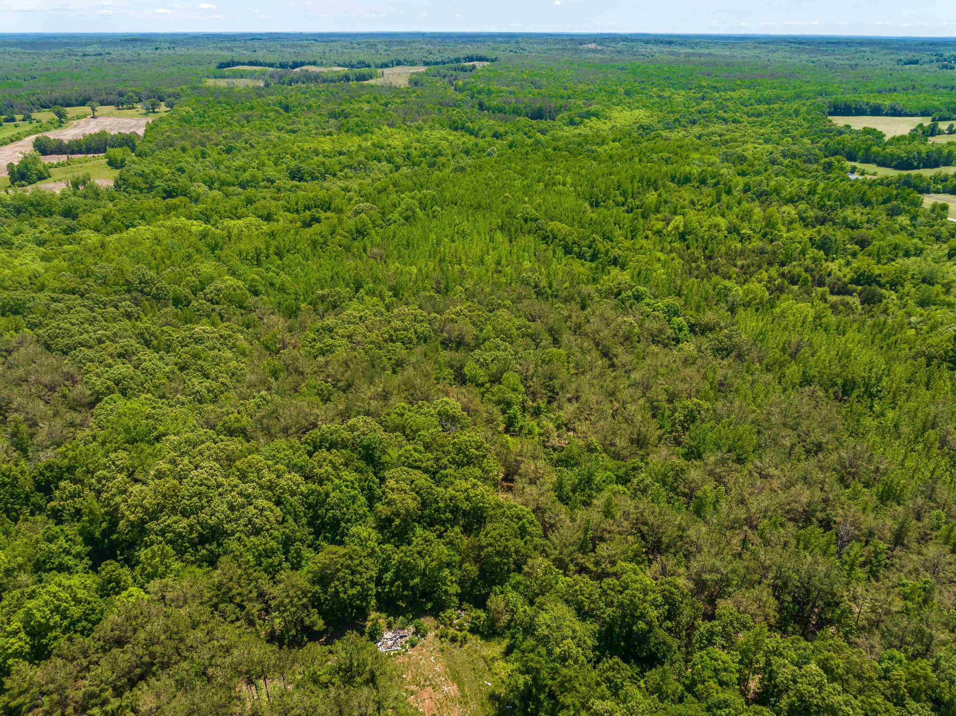 2340 Center Hill Road Finger, TN 38334 - Photo 13 of 21 a view of a lush green field