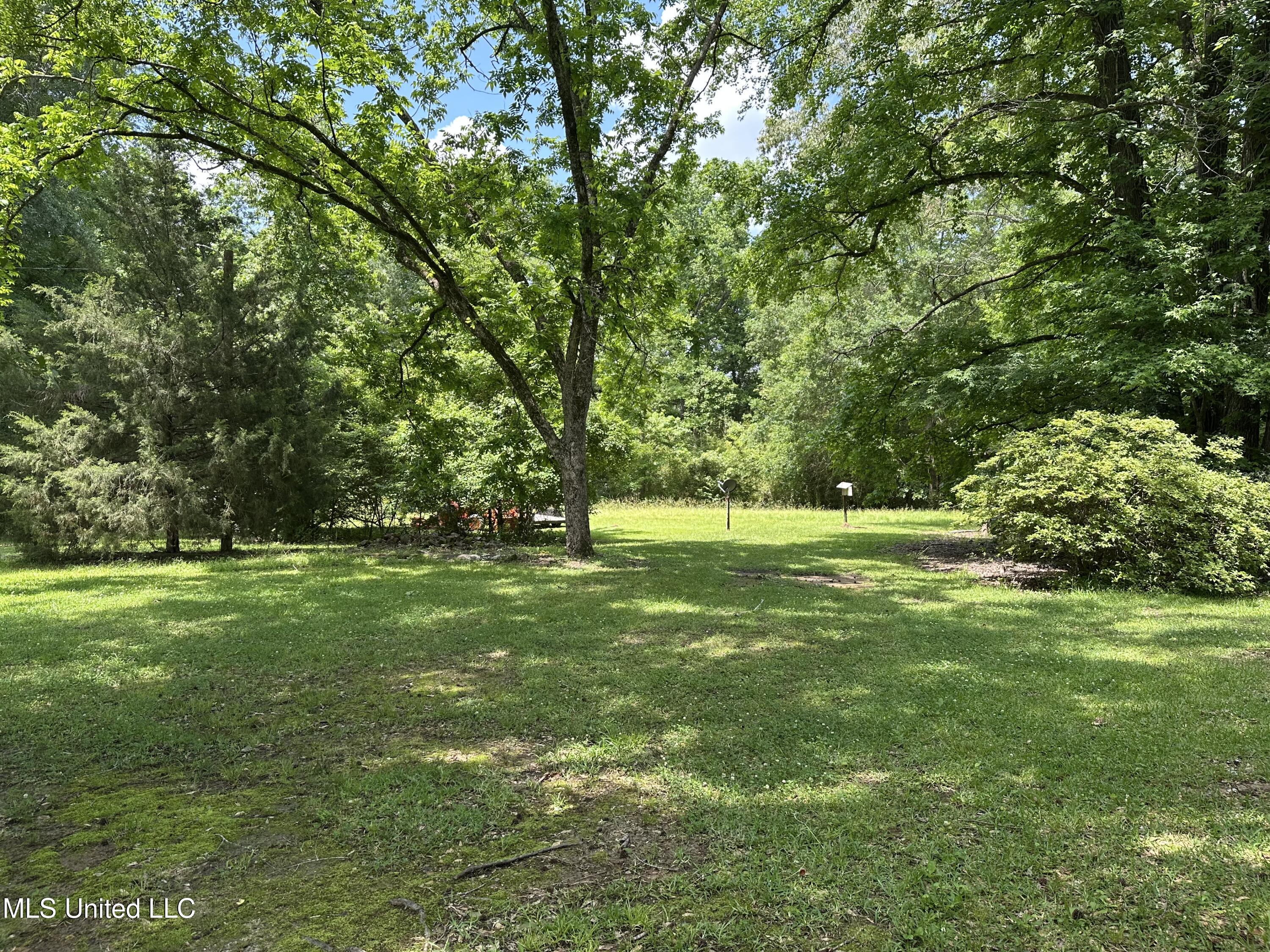 46 Mullins Road Natchez, MS 39120 - Photo 7 of 26 IMG_2557