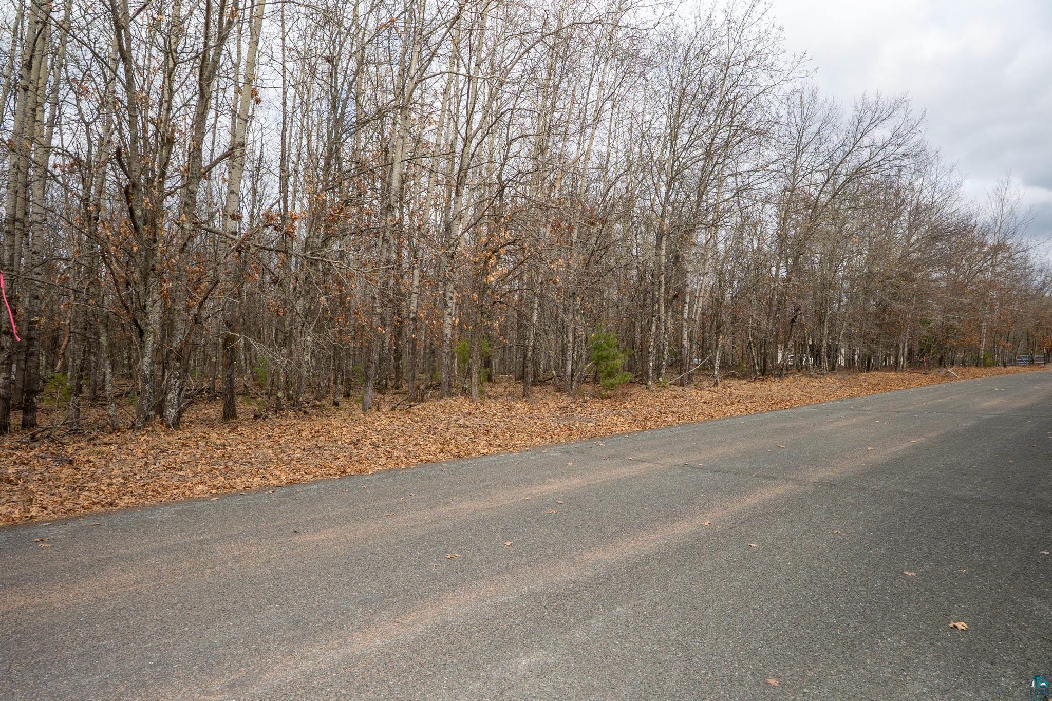 Lot 4 South Madison Avenue Gordon, WI 54838 - Photo 5 of 8