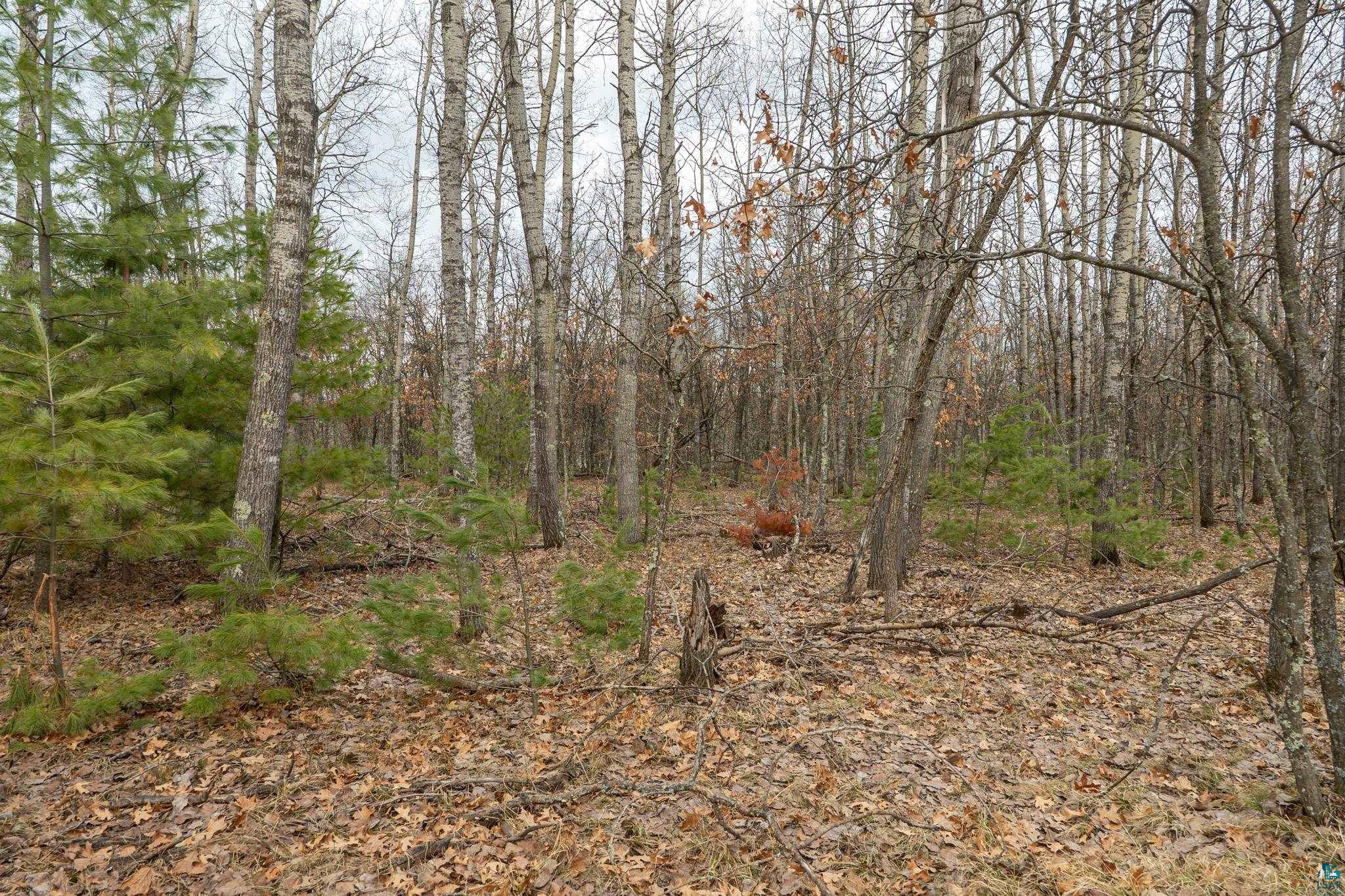 Lot 4 South Madison Avenue Gordon, WI 54838 - Photo 7 of 8