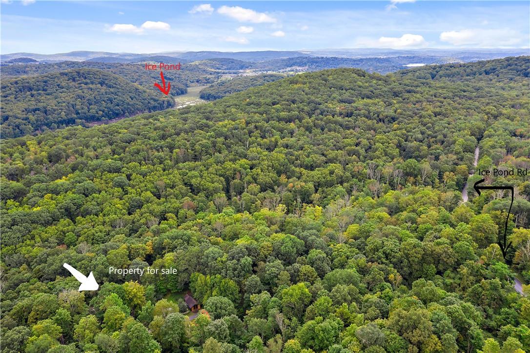 410 Ice Pond Road Patterson, NY 12563 - Photo 1 of 1 Aerial showing the location of the house in relation to the road and Ice Pond