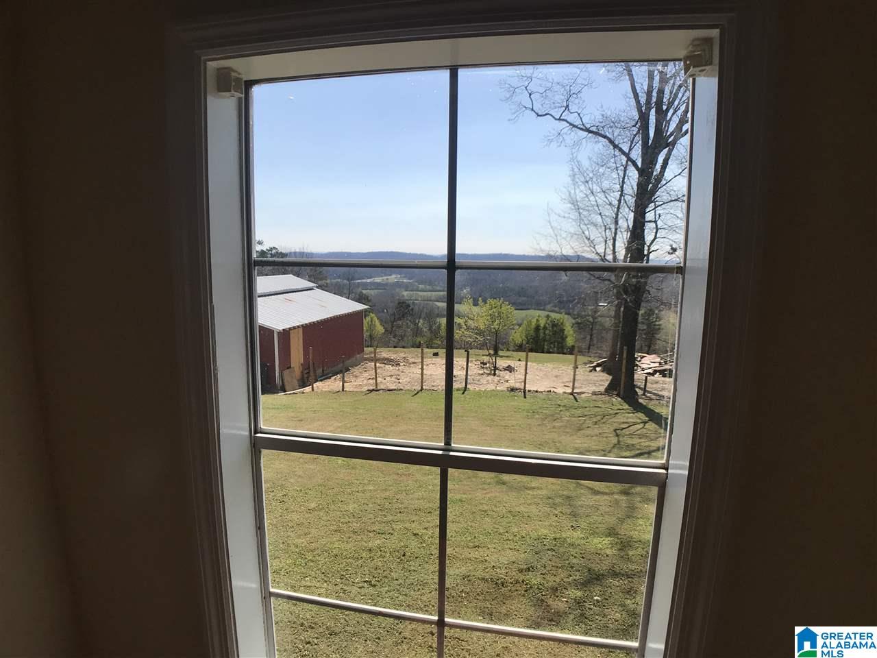 766 Williamsburg Road Altoona, AL 35952 - Photo 18 of 31 Gallery Image 18