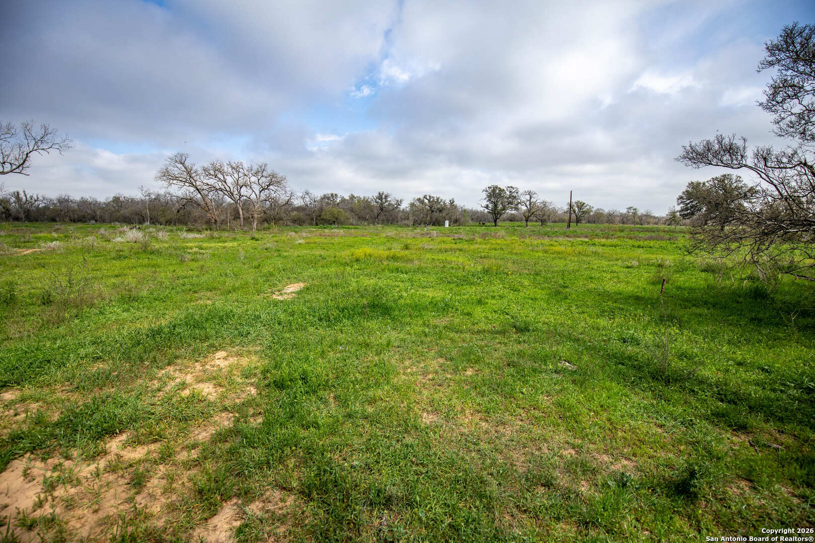 Tbd Felix Road St. Hedwig, TX 78152 - Photo 12 of 41 a view of yard with seating area and trees all around