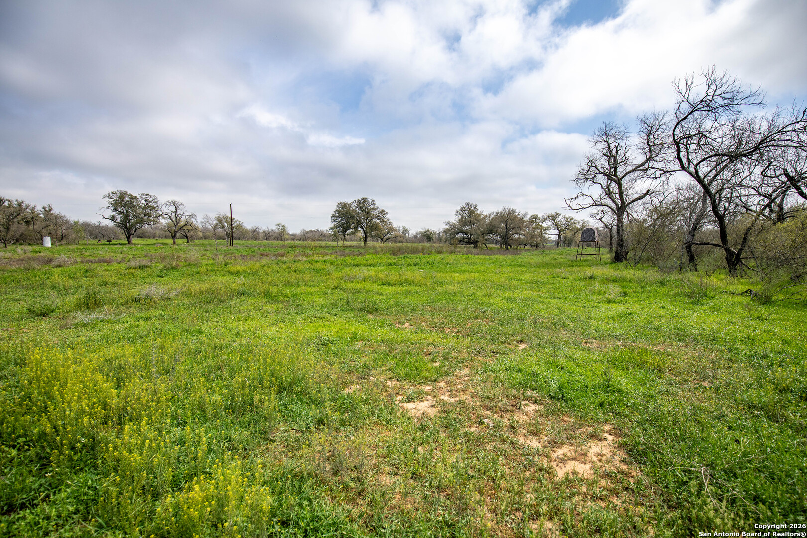 Tbd Felix Road St. Hedwig, TX 78152 - Photo 13 of 41 a view of a field with plants and trees in the background