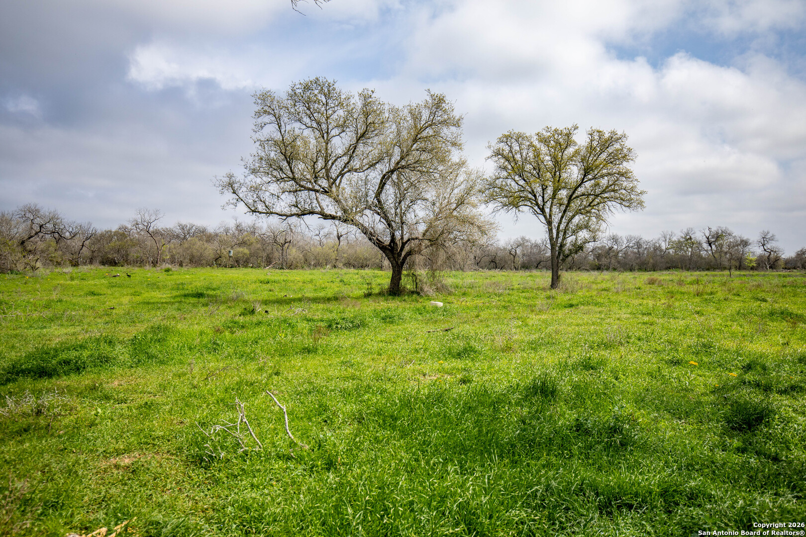 Tbd Felix Road St. Hedwig, TX 78152 - Photo 19 of 41 a view of swimming pool with a yard