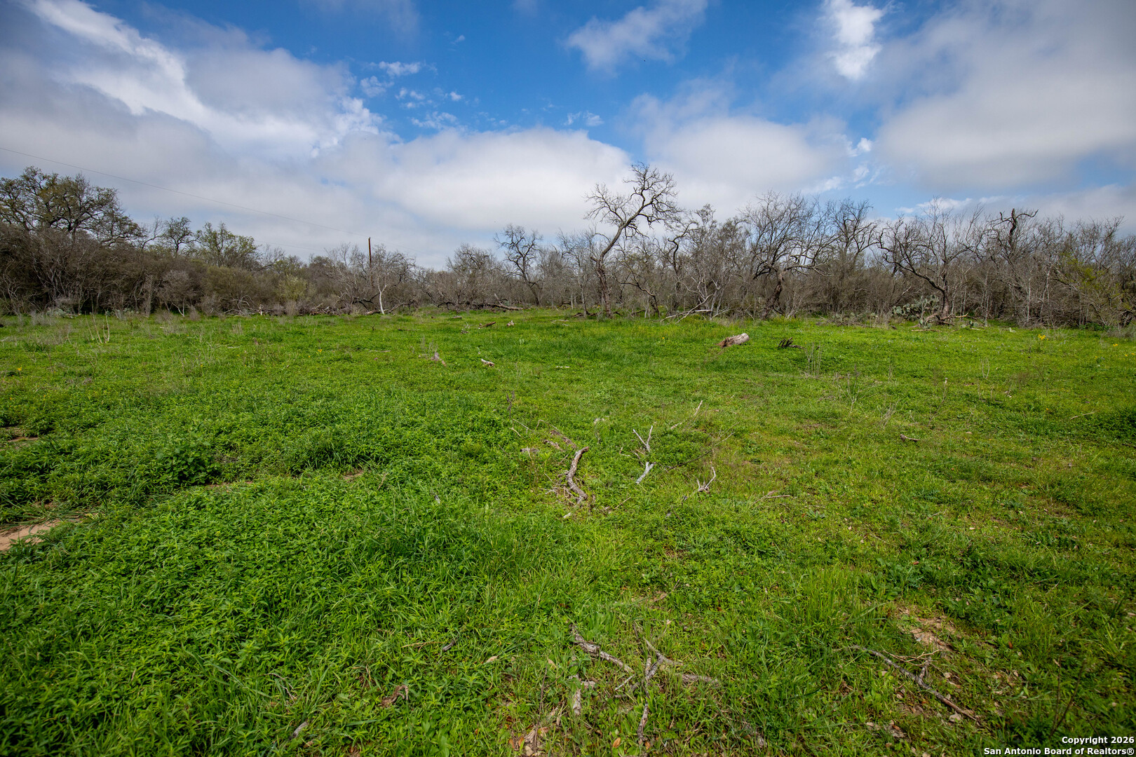 Tbd Felix Road St. Hedwig, TX 78152 - Photo 22 of 41 a view of an outdoor space and a yard