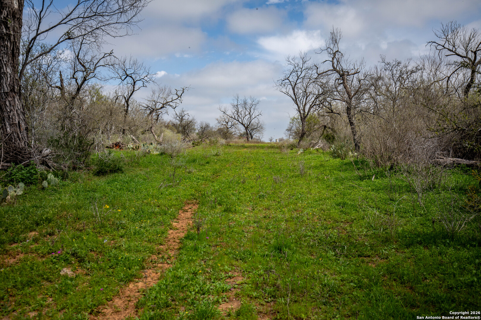 Tbd Felix Road St. Hedwig, TX 78152 - Photo 27 of 41