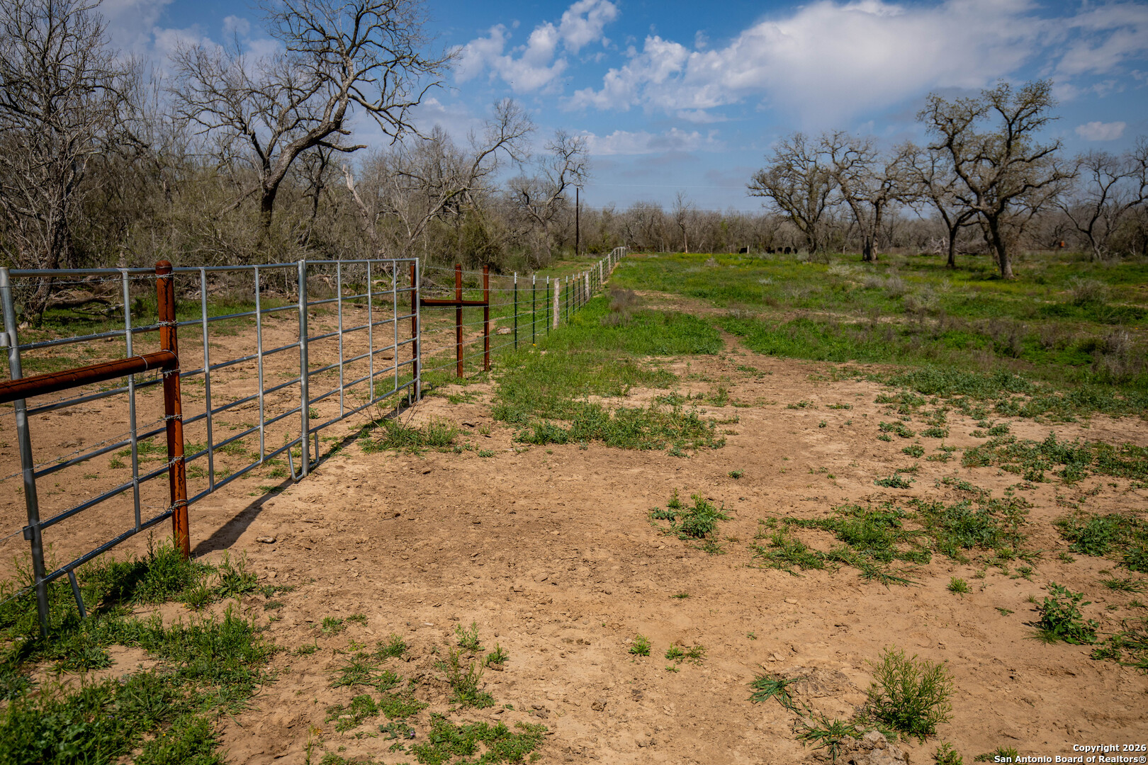 Tbd Felix Road St. Hedwig, TX 78152 - Photo 5 of 41 a view of a park