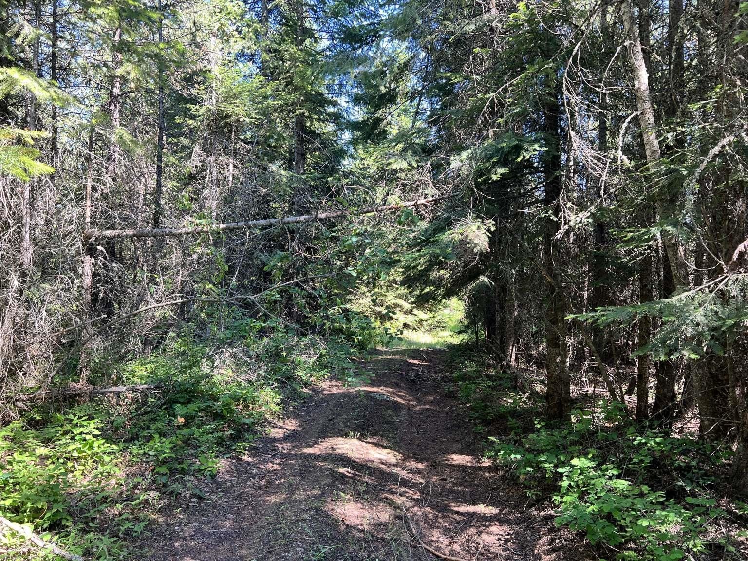 1922 Gray Road Newport, WA 99156 - Photo 12 of 38