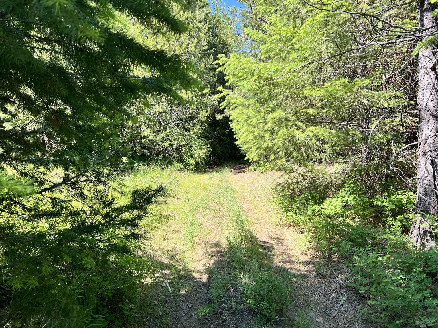 1922 Gray Road Newport, WA 99156 - Photo 13 of 38