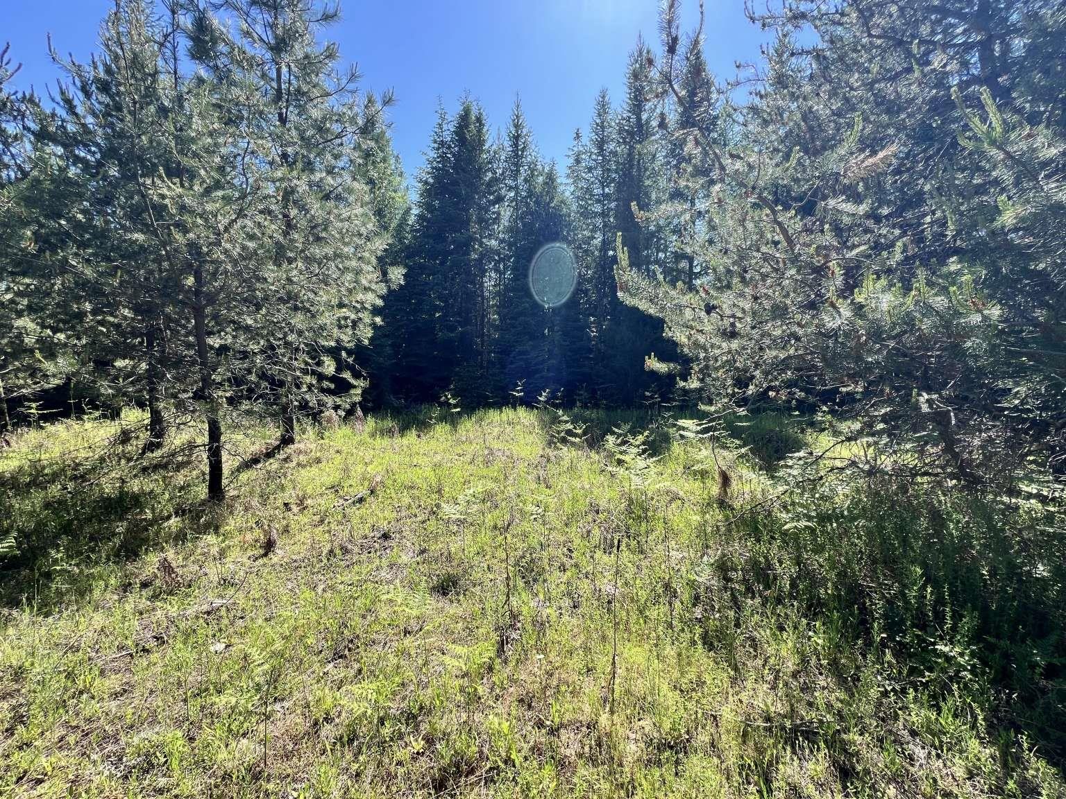 1922 Gray Road Newport, WA 99156 - Photo 15 of 38