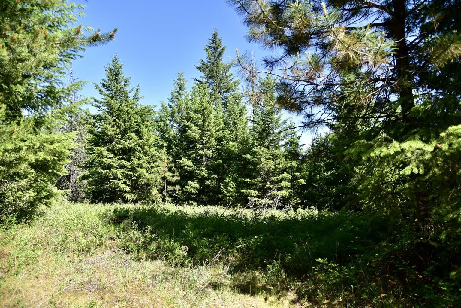 1922 Gray Road Newport, WA 99156 - Photo 16 of 38