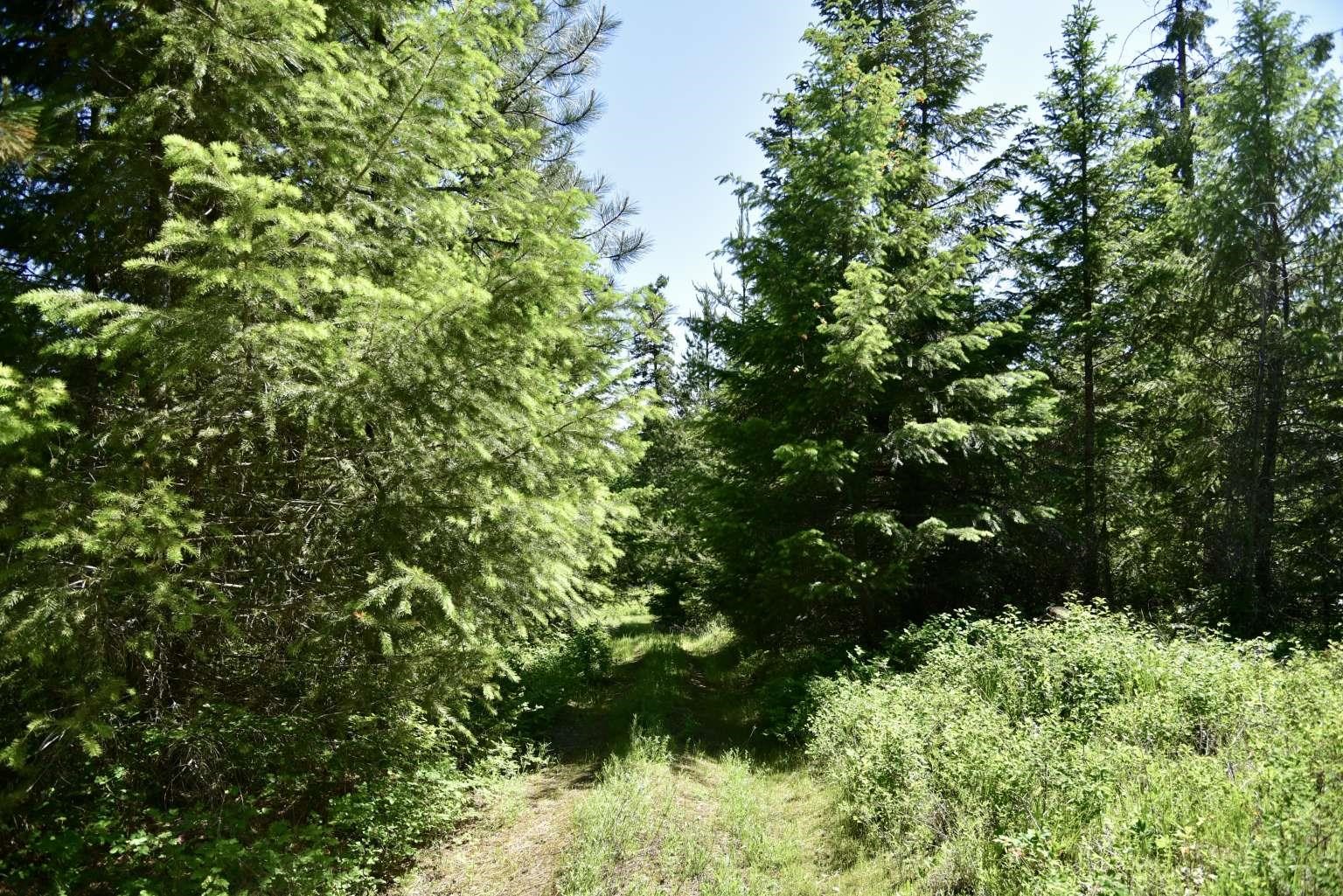 1922 Gray Road Newport, WA 99156 - Photo 17 of 38