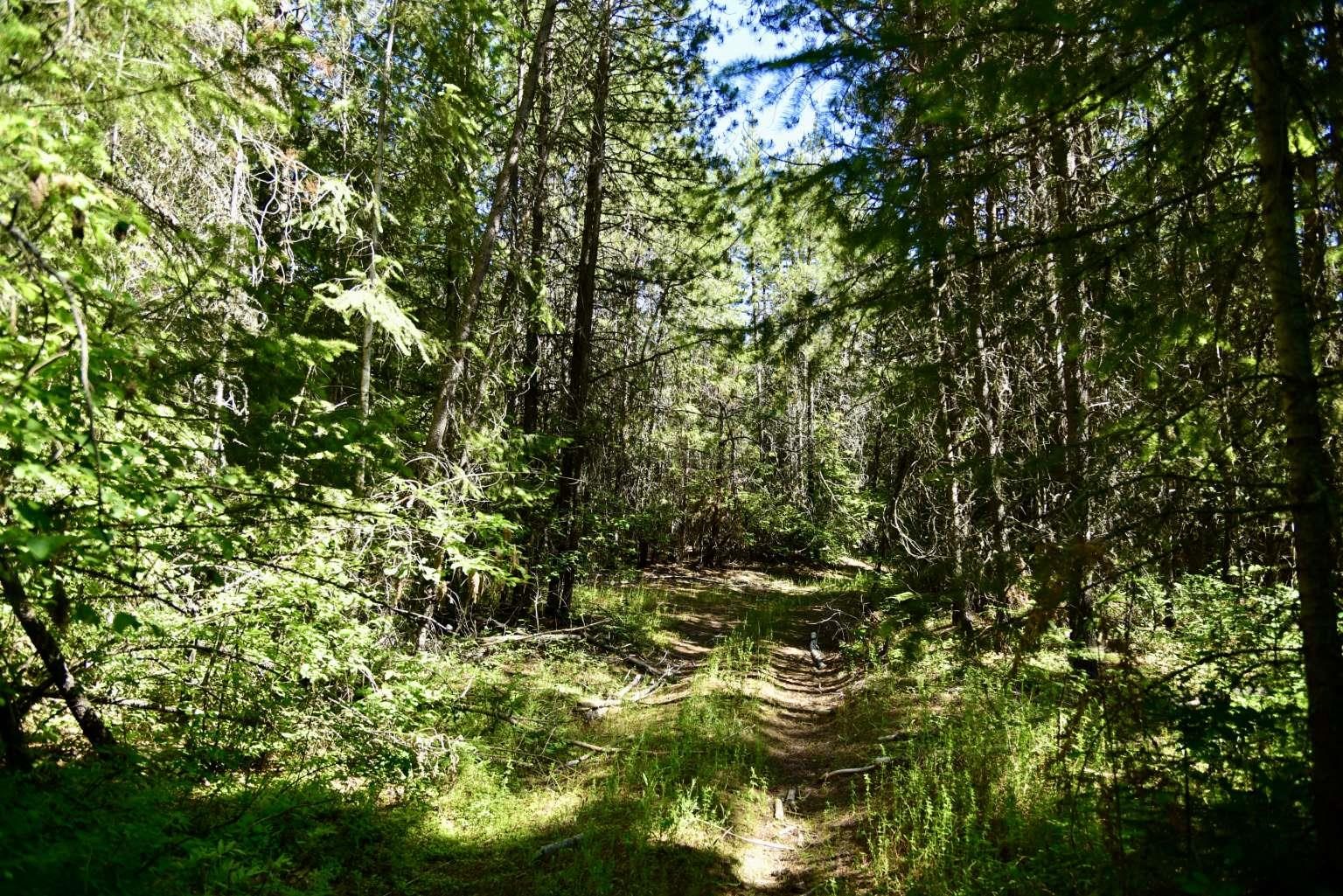 1922 Gray Road Newport, WA 99156 - Photo 19 of 38