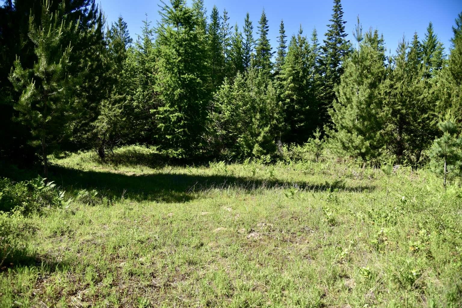 1922 Gray Road Newport, WA 99156 - Photo 2 of 38