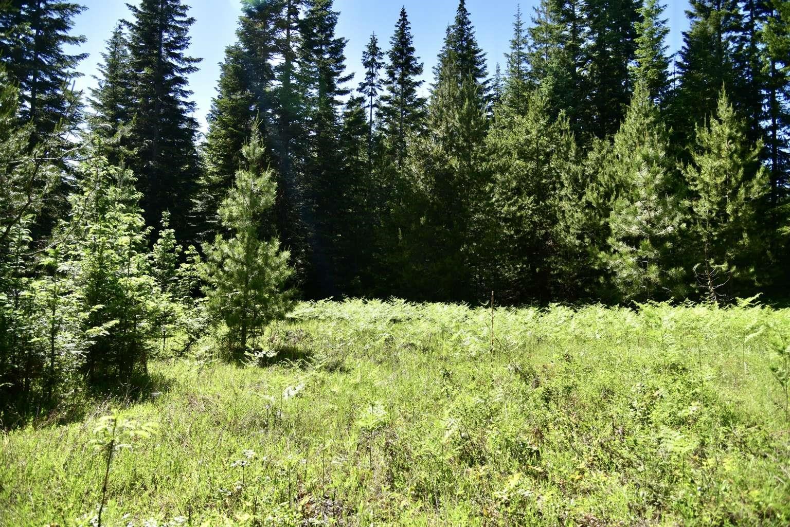 1922 Gray Road Newport, WA 99156 - Photo 21 of 38