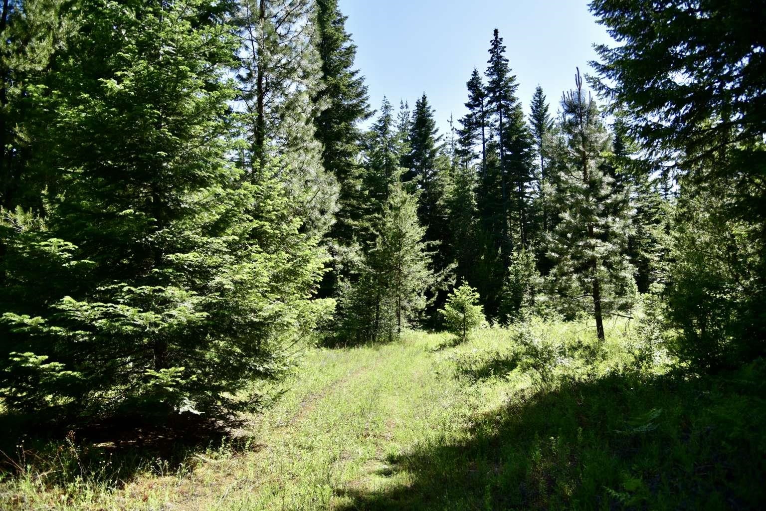 1922 Gray Road Newport, WA 99156 - Photo 24 of 38