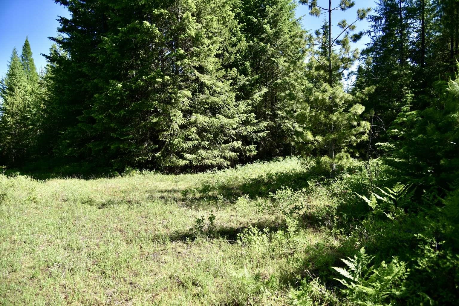 1922 Gray Road Newport, WA 99156 - Photo 26 of 38