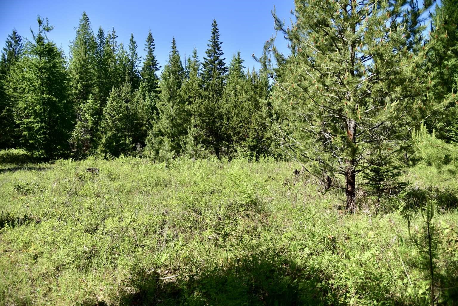 1922 Gray Road Newport, WA 99156 - Photo 27 of 38