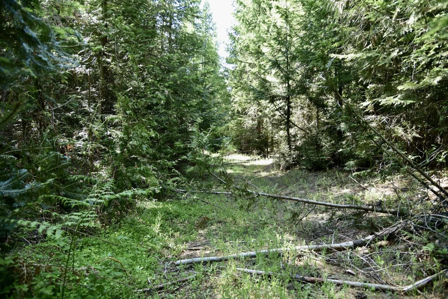 1922 Gray Road Newport, WA 99156 - Photo 28 of 38