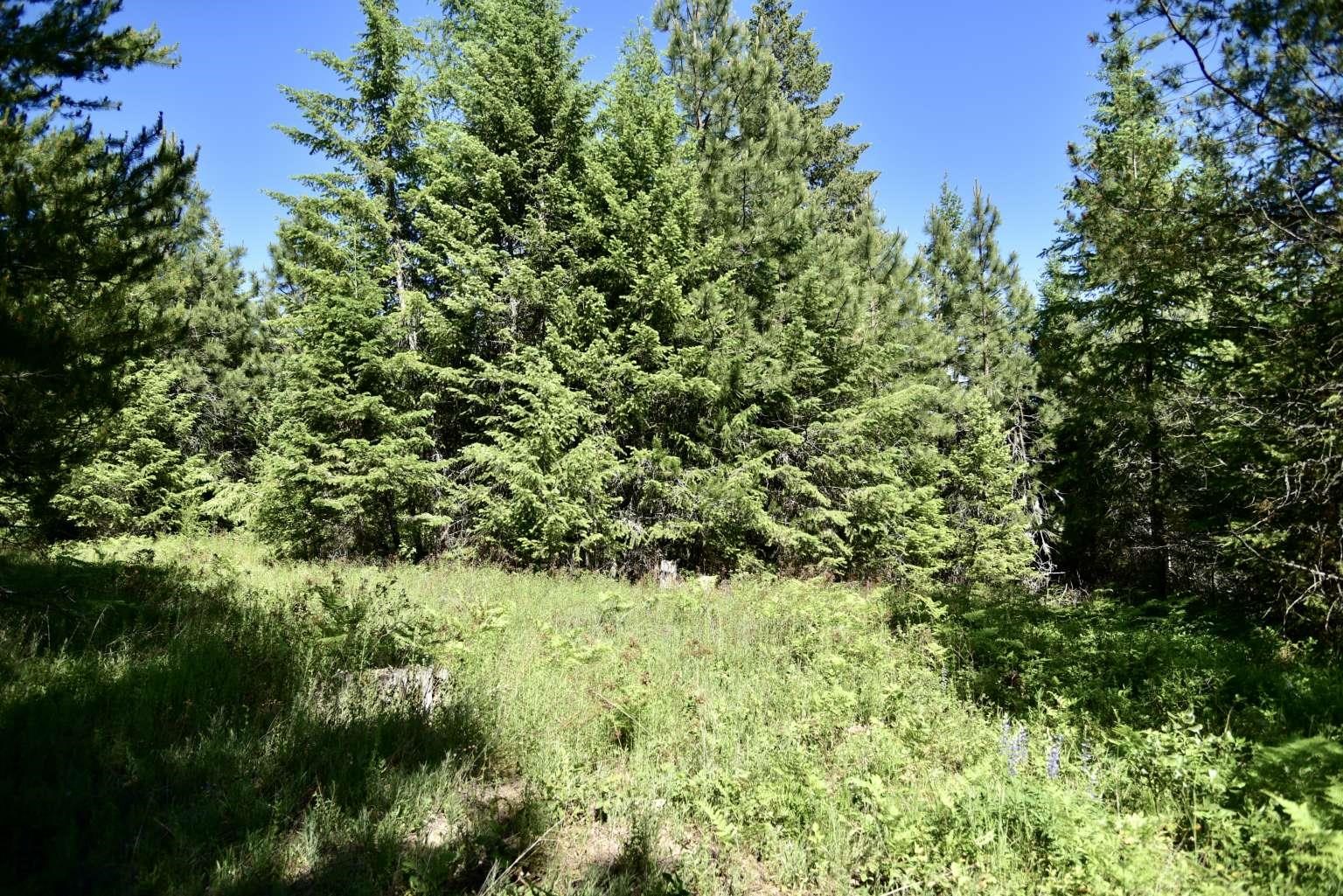 1922 Gray Road Newport, WA 99156 - Photo 30 of 38