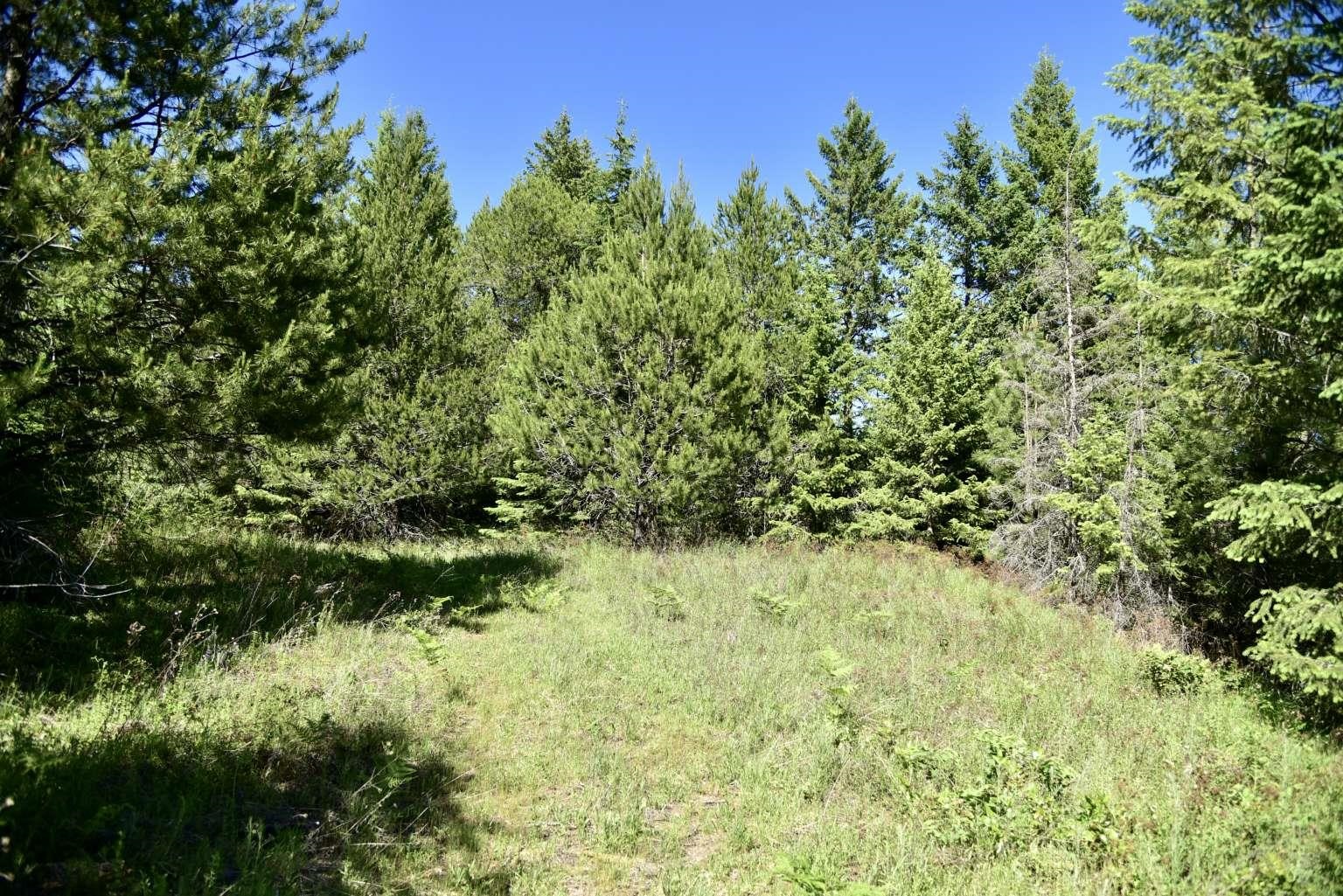 1922 Gray Road Newport, WA 99156 - Photo 3 of 38