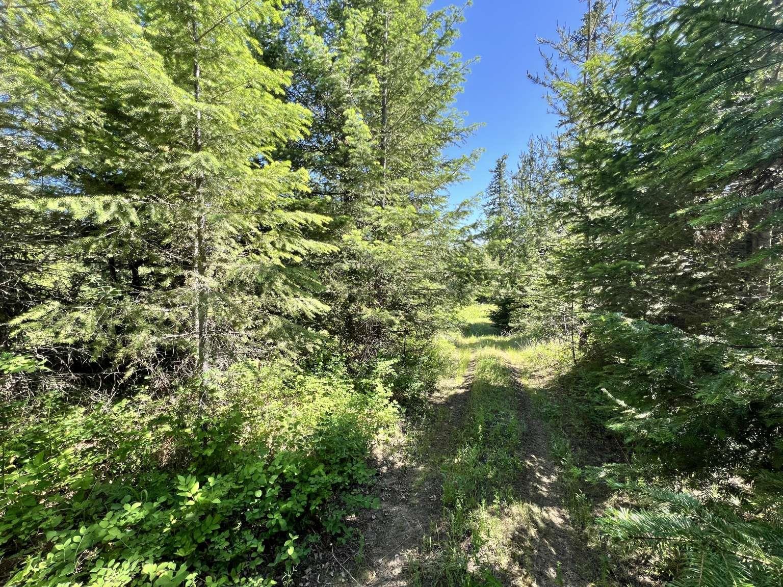 1922 Gray Road Newport, WA 99156 - Photo 31 of 38