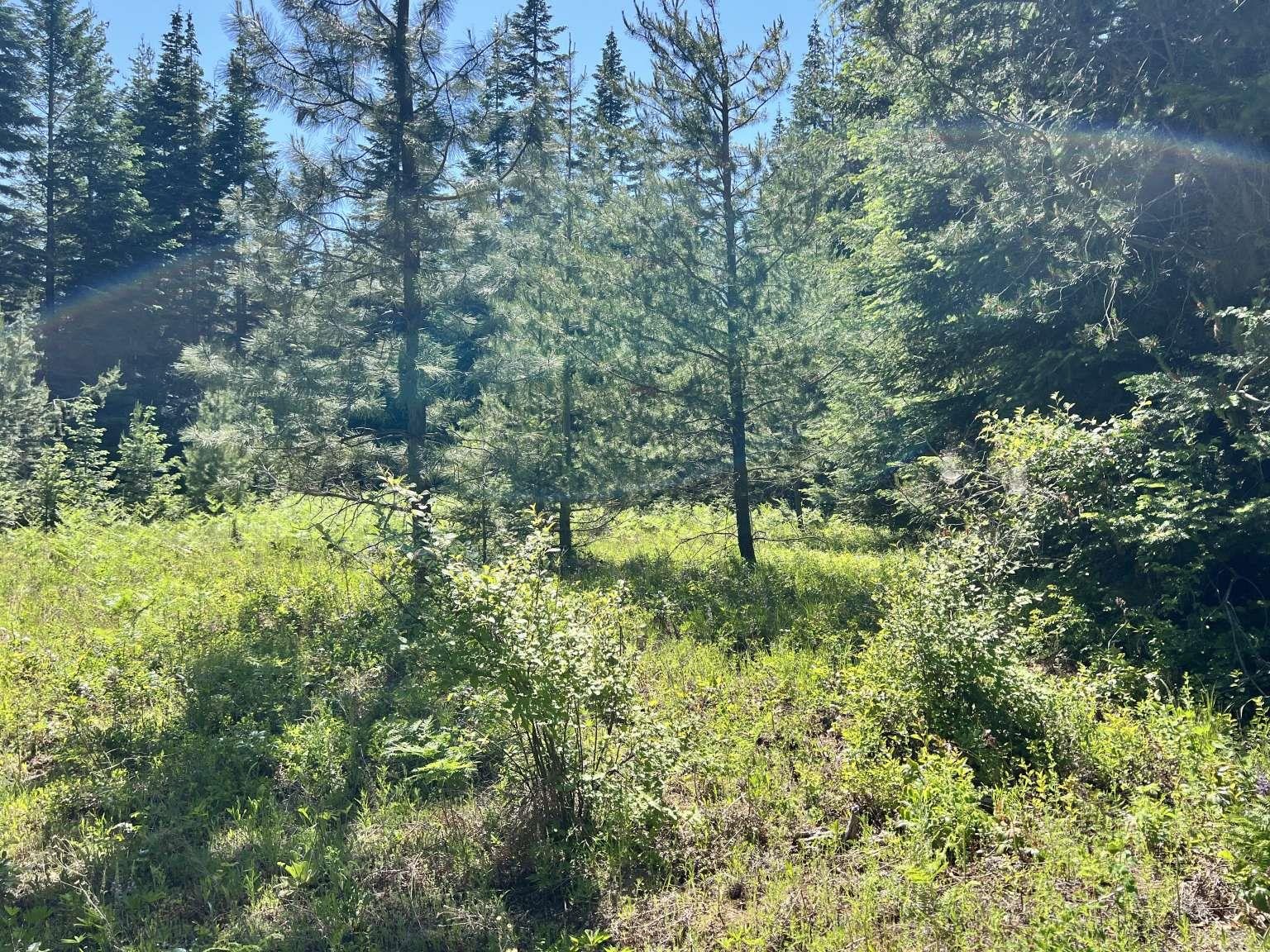 1922 Gray Road Newport, WA 99156 - Photo 32 of 38