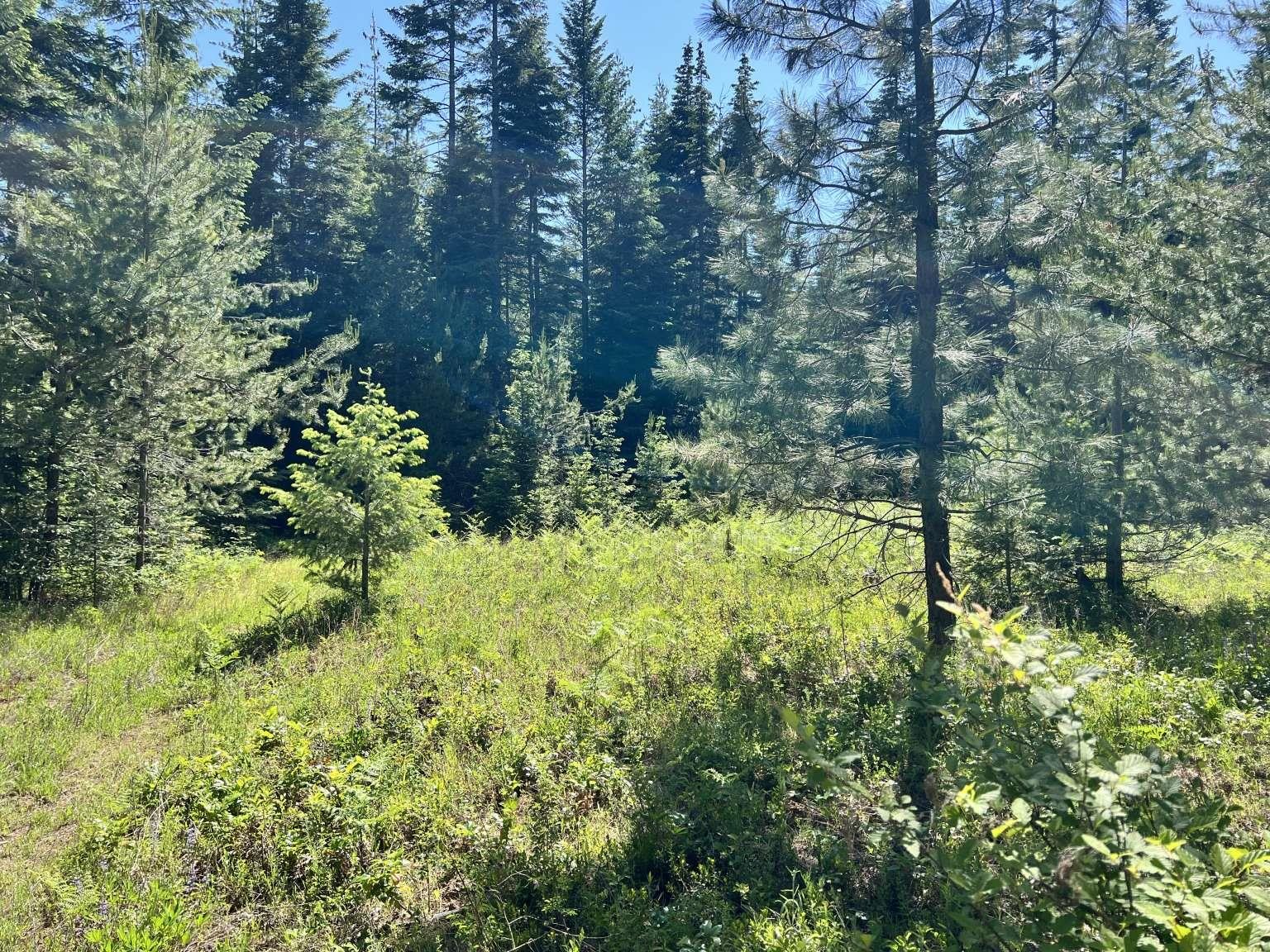 1922 Gray Road Newport, WA 99156 - Photo 34 of 38