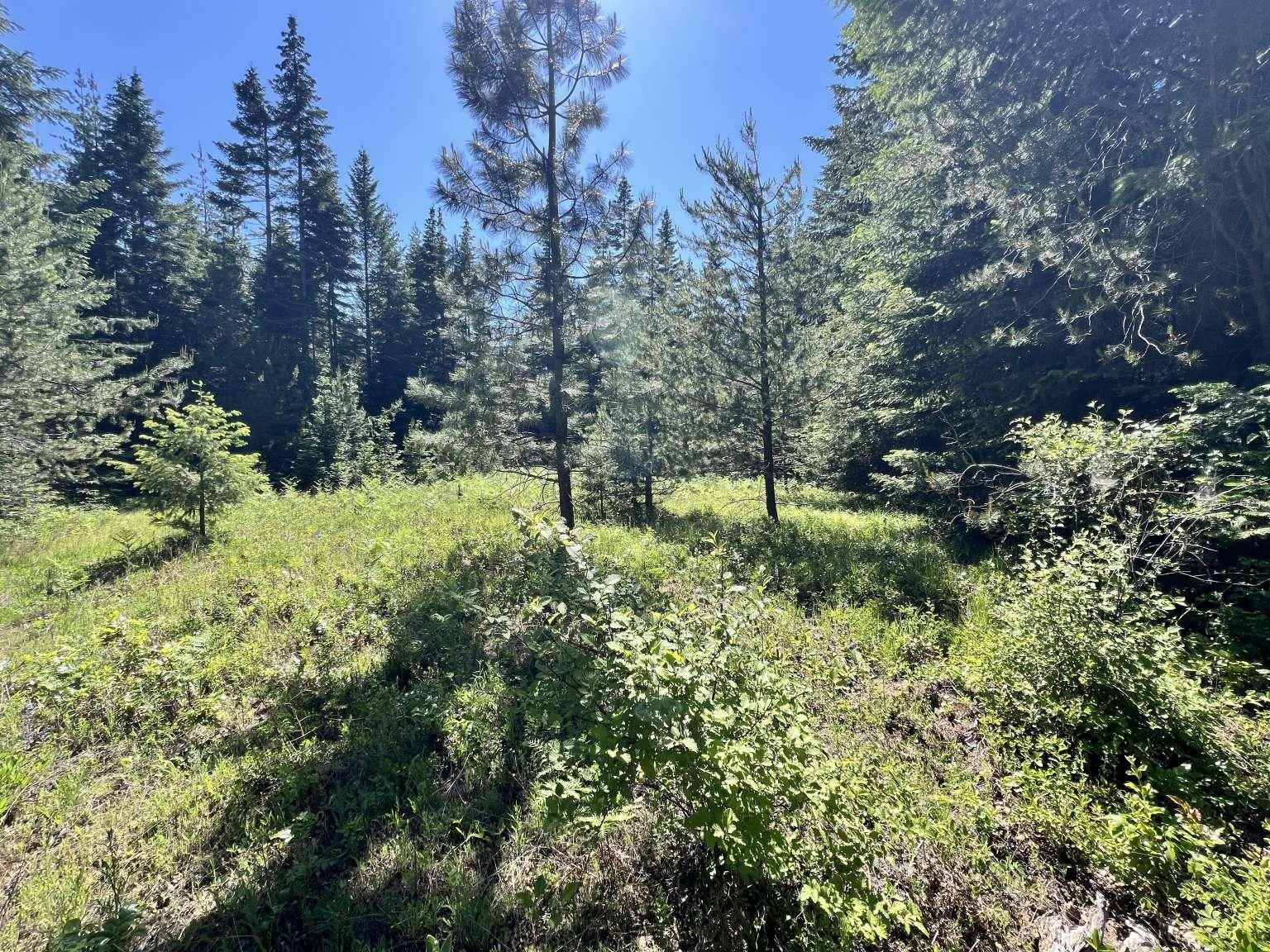 1922 Gray Road Newport, WA 99156 - Photo 35 of 38