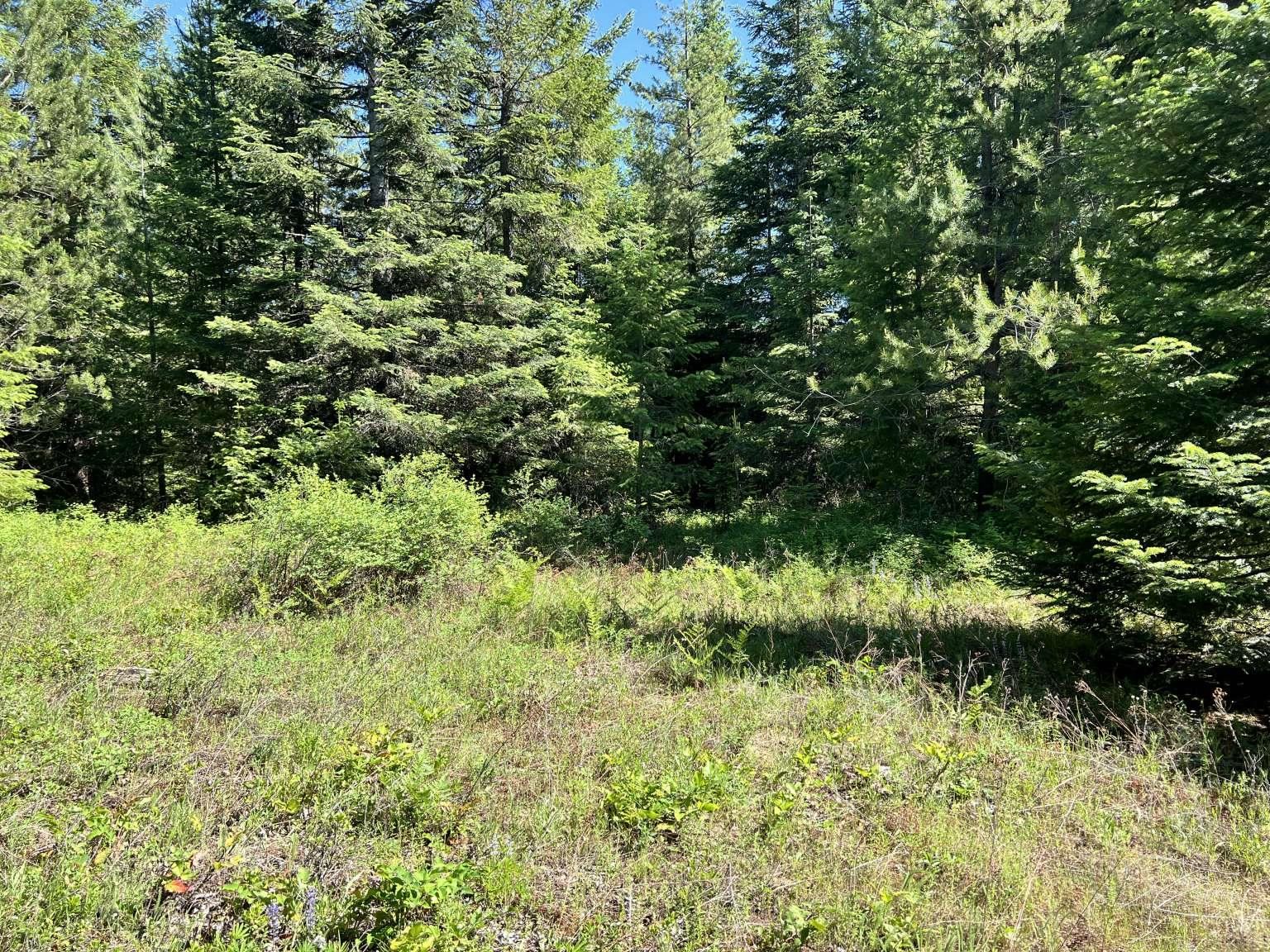 1922 Gray Road Newport, WA 99156 - Photo 36 of 38