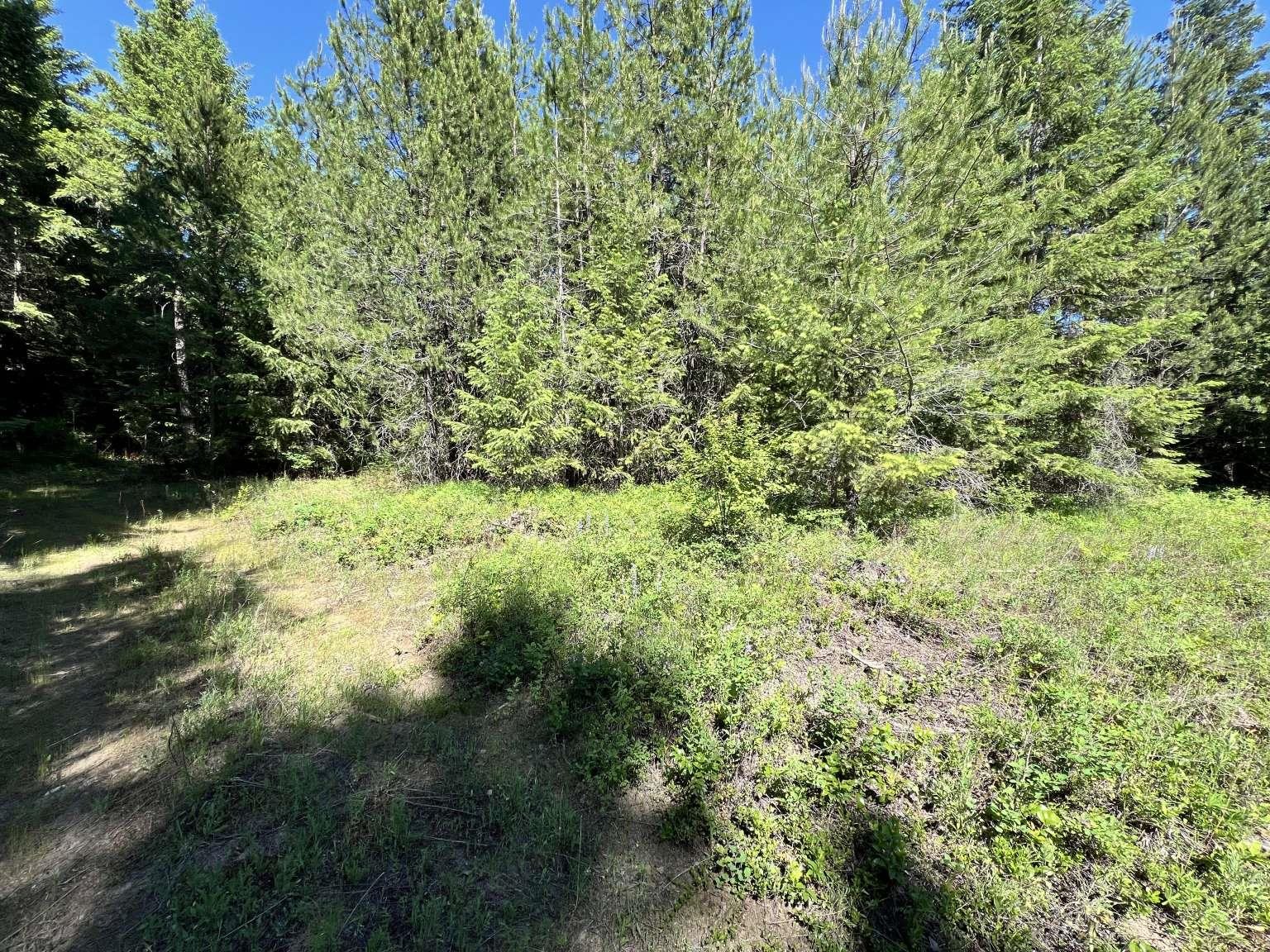 1922 Gray Road Newport, WA 99156 - Photo 37 of 38