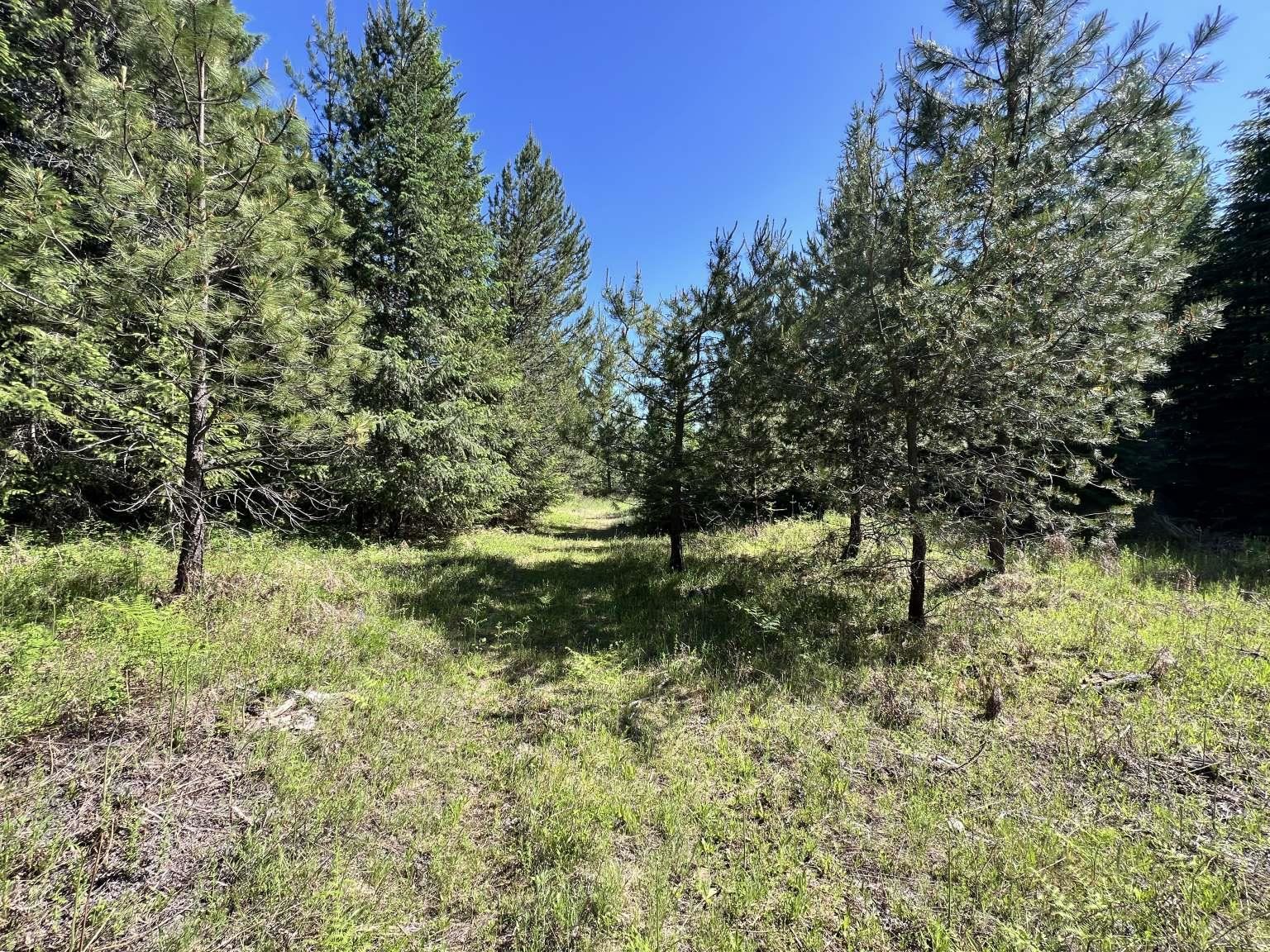 1922 Gray Road Newport, WA 99156 - Photo 38 of 38