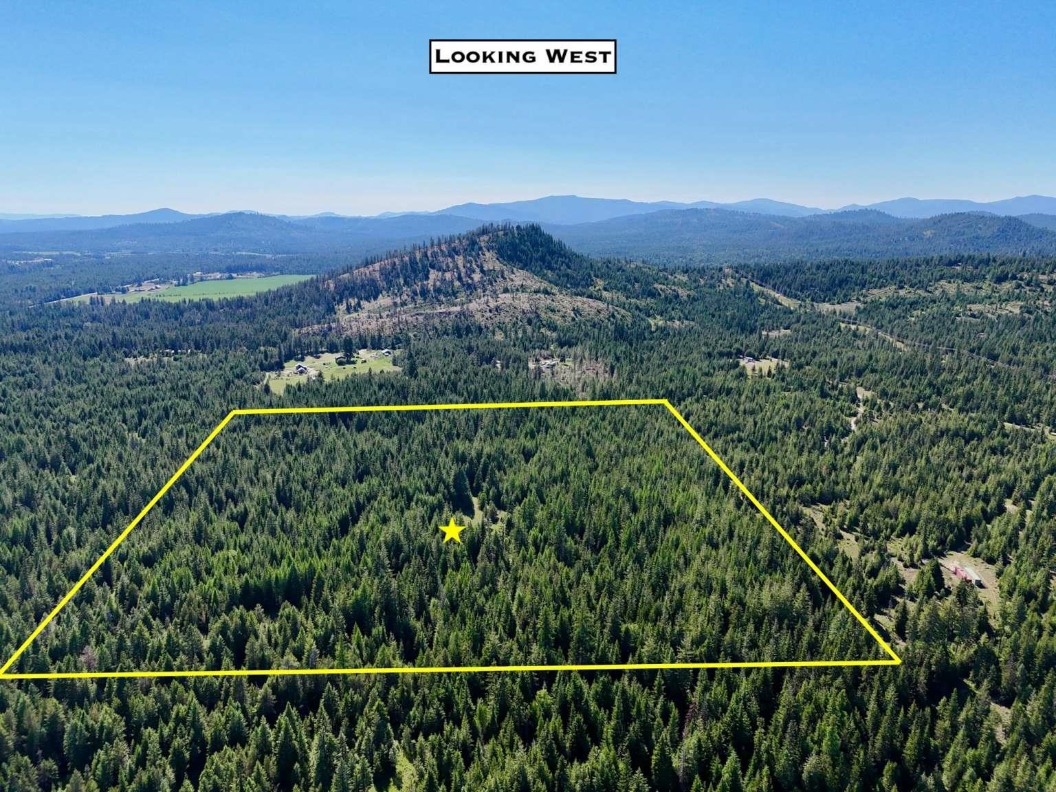 1922 Gray Road Newport, WA 99156 - Photo 10 of 38