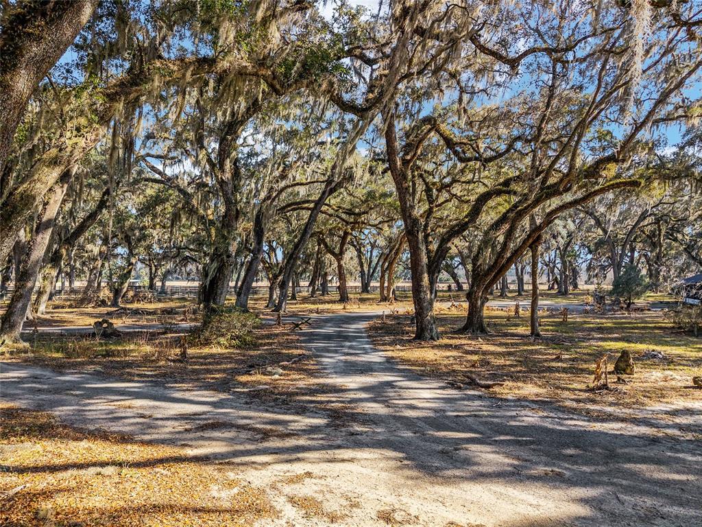 15178 Northeast 47th Avenue Citra, FL 32113 - Photo 60 of 79