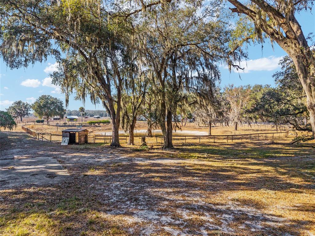 15178 Northeast 47th Avenue Citra, FL 32113 - Photo 61 of 79