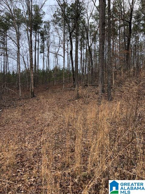 208 County Road, Unit 4 43 Heflin, AL 36264 - Photo 2 of 4