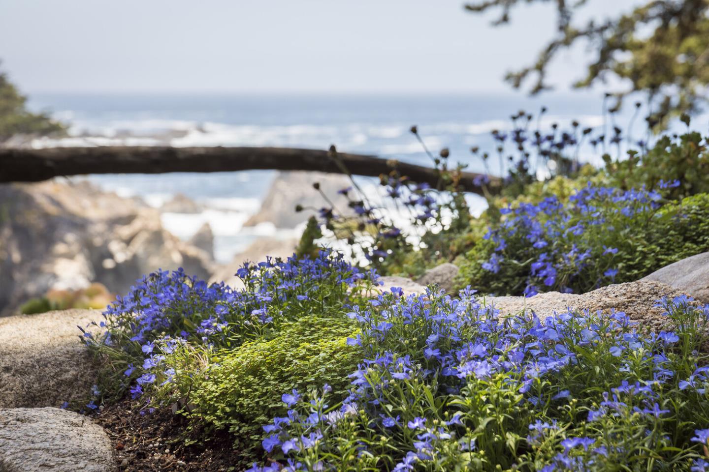 157-163 Spindrift Road Carmel, CA 93923 - Photo 96 of 100