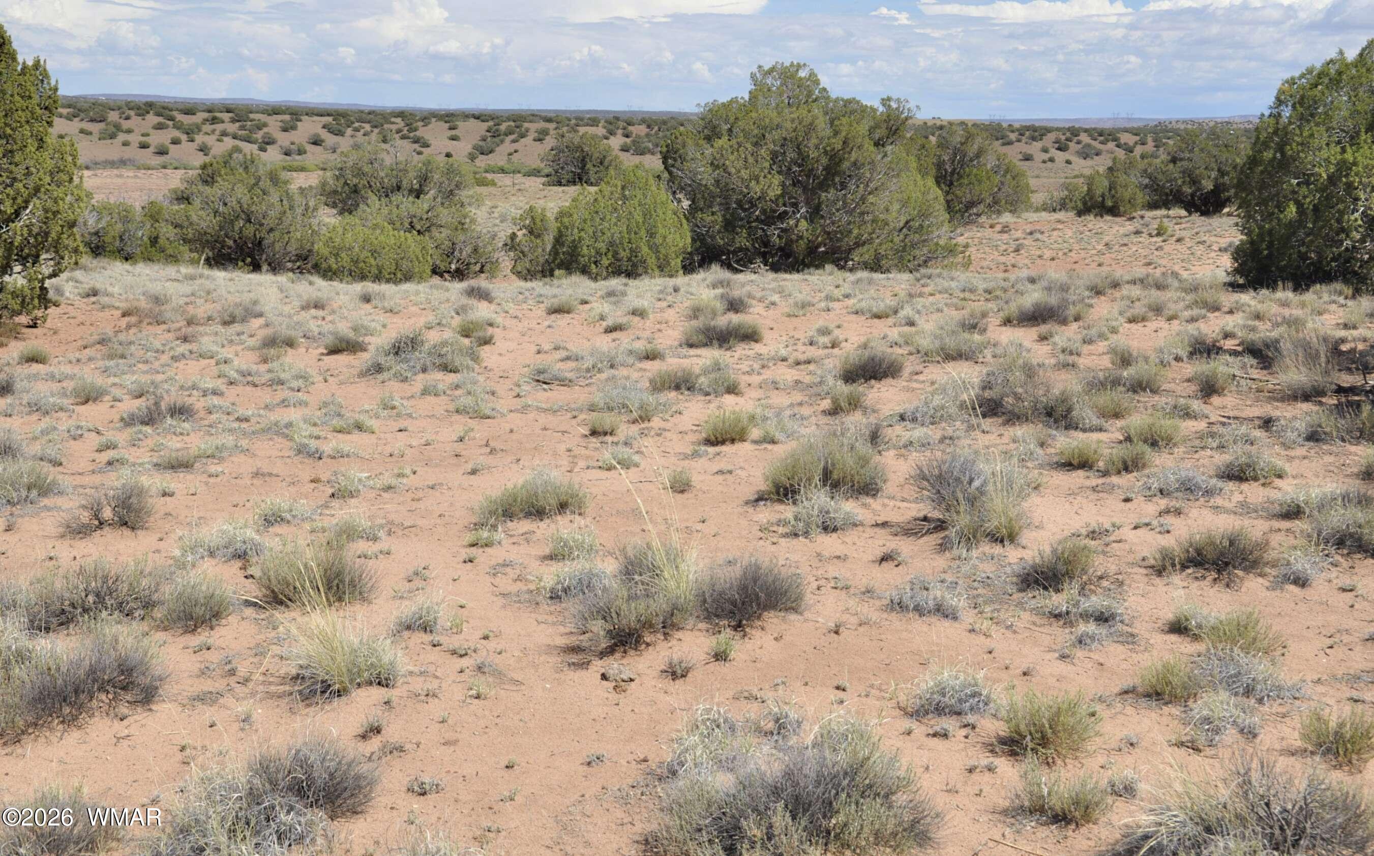19-c & D County Road Concho, AZ 85924 - Photo 1 of 24 a view of a dry yard covered with snow