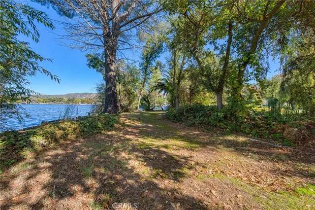 a view of a yard with a tree