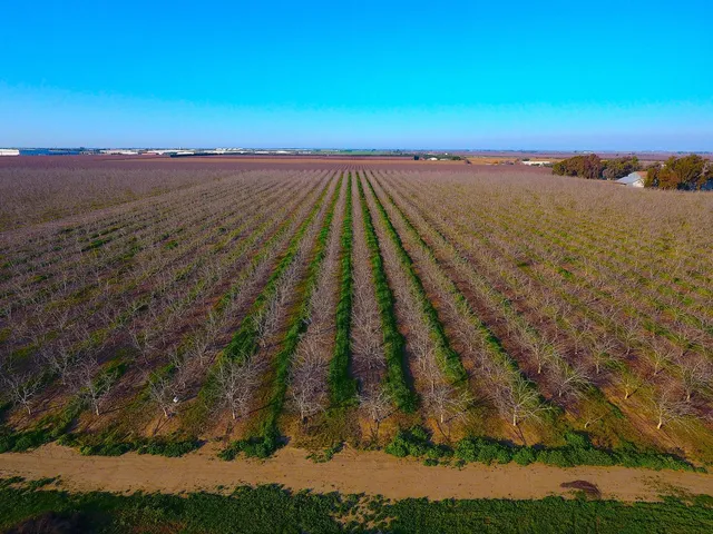 $2,500,000 | 28201 Banta Road, Tracy, CA 95304